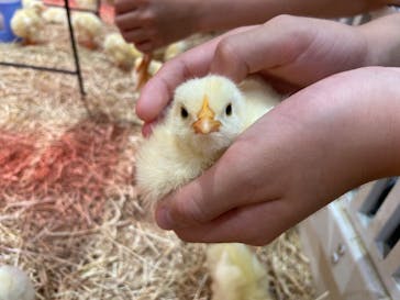 アニタッチららぽーと名古屋みなとアクルスに投稿された画像（2025/6/1）