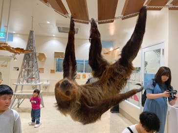 アニタッチららぽーと名古屋みなとアクルスに投稿された画像（2025/6/1）