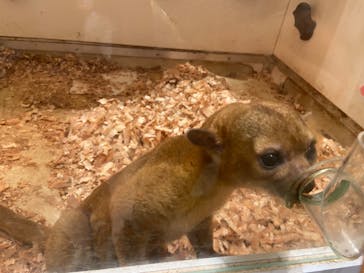 アニタッチららぽーと名古屋みなとアクルスに投稿された画像（2025/6/1）