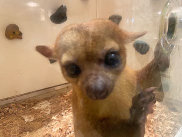 アニタッチららぽーと名古屋みなとアクルスに投稿された画像（2025/6/1）