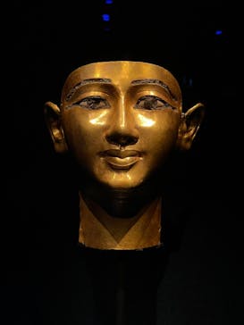 ACN ラムセス大王展 ファラオたちの黄金に投稿された画像（2025/6/1）