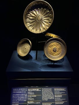 ACN ラムセス大王展 ファラオたちの黄金に投稿された画像（2025/6/1）