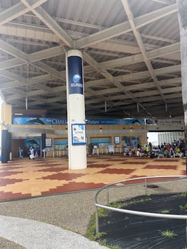 新江ノ島水族館に投稿された画像（2025/6/1）