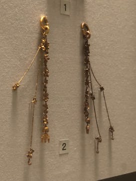 東京国立博物館に投稿された画像（2025/6/1）