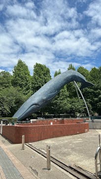 国立科学博物館に投稿された画像（2025/6/1）