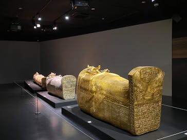 MYSTERY OF TUTANKHAMEN 体感型古代エジプト展に投稿された画像（2025/6/1）