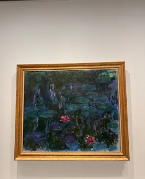 モネ　睡蓮のときに投稿された画像（2025/6/1）