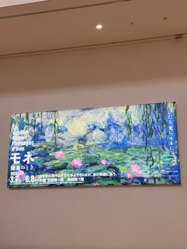 モネ　睡蓮のときに投稿された画像（2025/6/1）