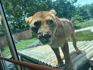 東京動物園協会_多摩動物公園に投稿された画像（2025/6/1）