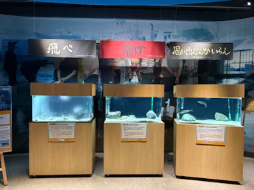 仙台うみの杜水族館に投稿された画像（2025/6/1）
