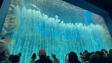 仙台うみの杜水族館に投稿された画像（2025/6/1）