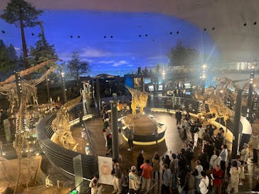 福井県立恐竜博物館に投稿された画像（2025/6/1）