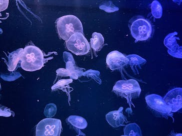 AOAO SAPPOROに投稿された画像（2025/6/1）