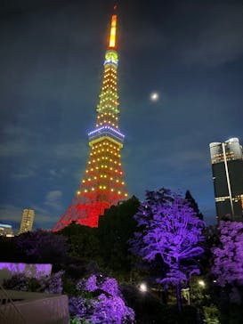 東京タワーに投稿された画像（2025/6/1）