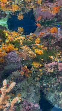 新江ノ島水族館に投稿された画像（2025/6/1）