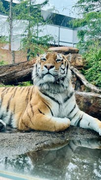 那須どうぶつ王国に投稿された画像（2025/6/1）