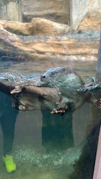 那須どうぶつ王国に投稿された画像（2025/6/1）