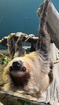 那須どうぶつ王国に投稿された画像（2025/6/1）