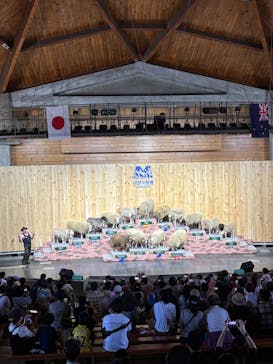 マザー牧場に投稿された画像（2025/6/1）