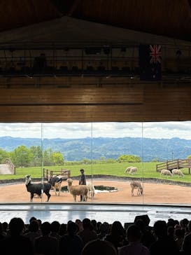 マザー牧場に投稿された画像（2025/6/1）