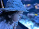 サンシャイン水族館に投稿された画像（2025/6/1）