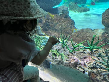 サンシャイン水族館に投稿された画像（2025/6/1）