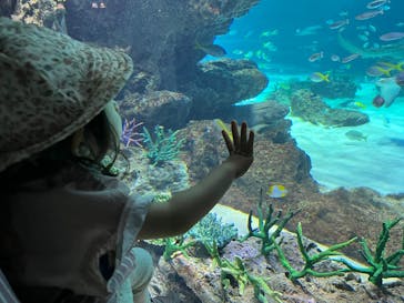 サンシャイン水族館に投稿された画像（2025/6/1）