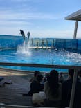 新江ノ島水族館に投稿された画像（2025/6/1）
