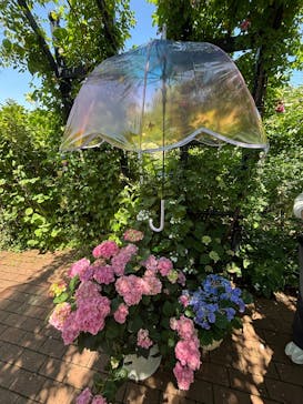 横浜イングリッシュガーデンに投稿された画像（2025/6/1）