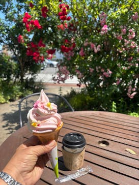 横浜イングリッシュガーデンに投稿された画像（2025/6/1）