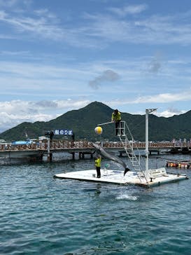 あわしまマリンパークに投稿された画像（2025/6/1）