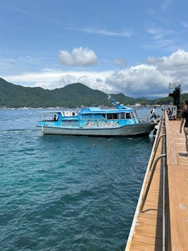 あわしまマリンパークに投稿された画像（2025/6/1）