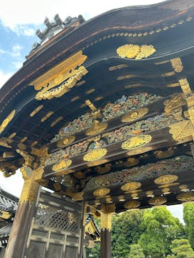 元離宮二条城に投稿された画像（2025/6/1）