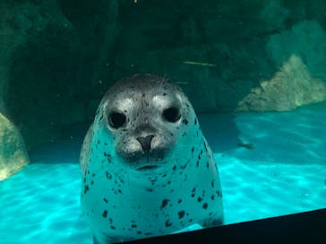アクアワールド茨城県大洗水族館に投稿された画像（2025/6/1）
