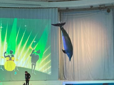 アクアワールド茨城県大洗水族館に投稿された画像（2025/6/1）