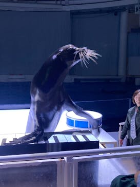 アクアワールド茨城県大洗水族館に投稿された画像（2025/6/1）