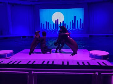 アクアワールド茨城県大洗水族館に投稿された画像（2025/6/1）