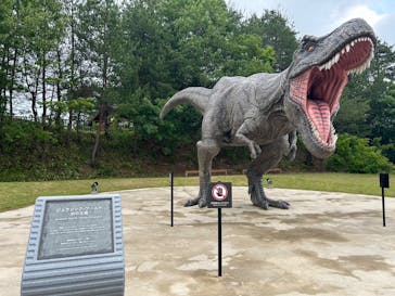 福井県立恐竜博物館に投稿された画像（2025/6/1）