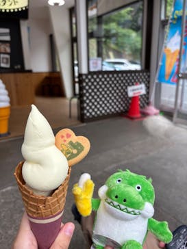 熱川バナナワニ園に投稿された画像（2025/6/1）