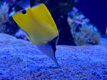 すみだ水族館に投稿された画像（2025/6/1）