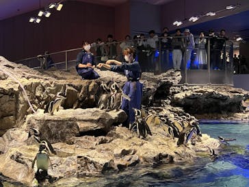 すみだ水族館に投稿された画像（2025/6/1）