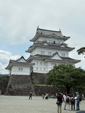 小田原城に投稿された画像（2025/6/1）