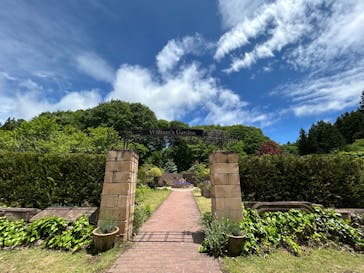 ロックハート城に投稿された画像（2025/6/1）