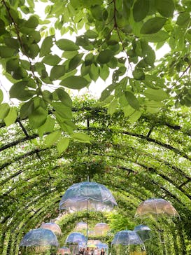 横浜イングリッシュガーデンに投稿された画像（2025/6/1）