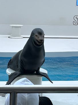 鴨川シーワールドに投稿された画像（2025/6/1）