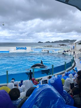 鴨川シーワールドに投稿された画像（2025/6/1）