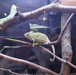 恩賜上野動物園に投稿された画像（2025/6/1）