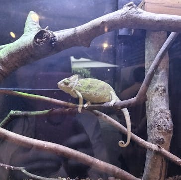 恩賜上野動物園に投稿された画像（2025/6/1）