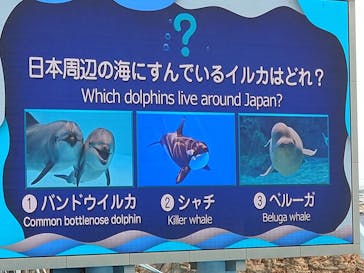 名古屋港水族館に投稿された画像（2025/6/1）