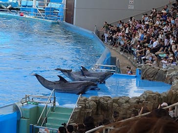 名古屋港水族館に投稿された画像（2025/6/1）